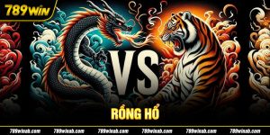 Cách Chơi Rồng Hổ Đơn Giản, Dễ Hiểu Như Chuyên Gia